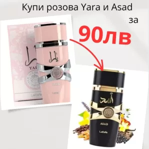 ??пи ASAD  и YARA на ?Р??? Ц?